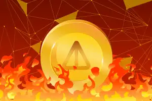 Notcoin developers burned 210 million NOT tokens worth $3 million