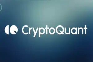 CryptoQuant: Крипторынок вступил во второе по величине институциональное накопление